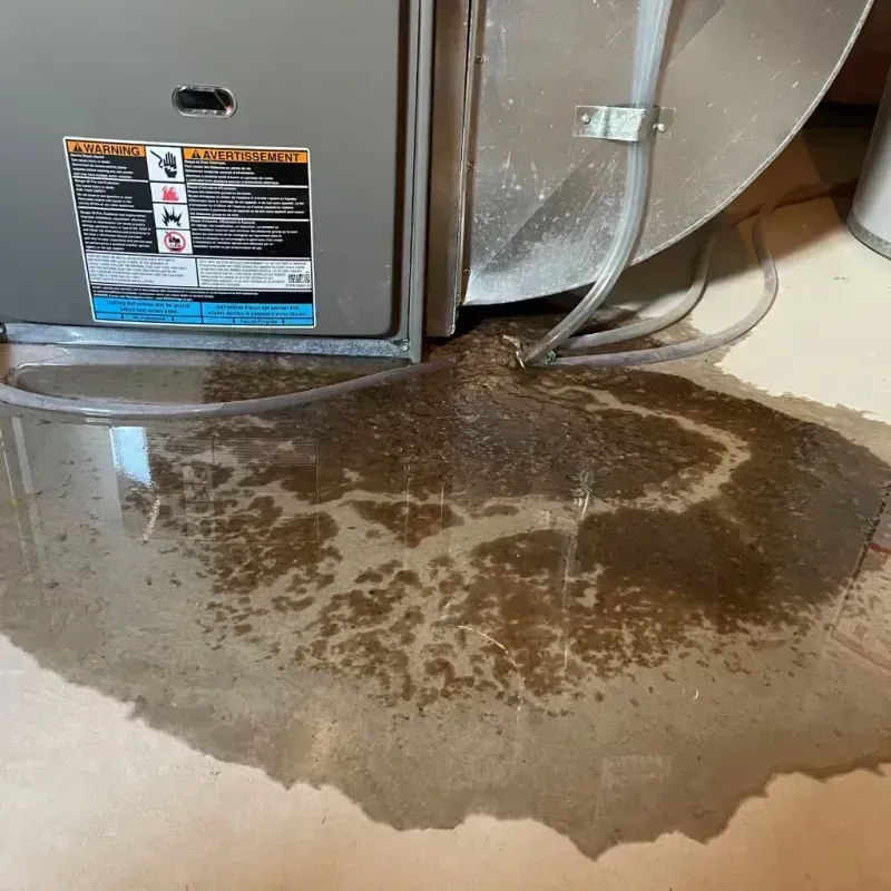 Appliance Leak Cleanup in Terra Mar, FL